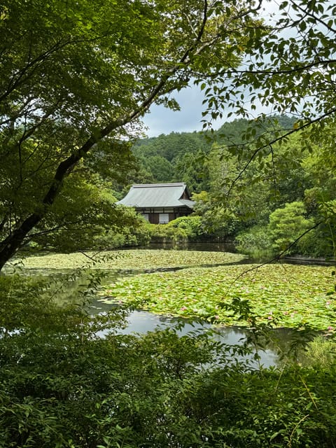 Kyoto: Ryōan-ji, Greatest Zen Garden Guided Tour in 80 Min. - Key Points