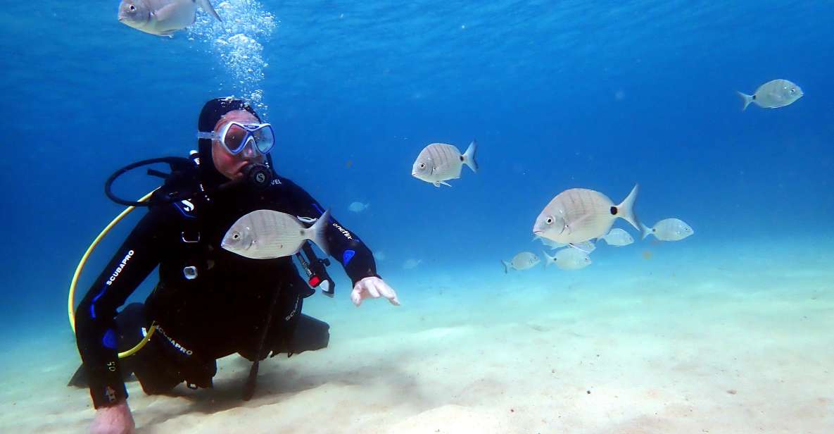 Lanzarote: Small Group Beginner Dive Course Costa Teguise - Pricing and Duration