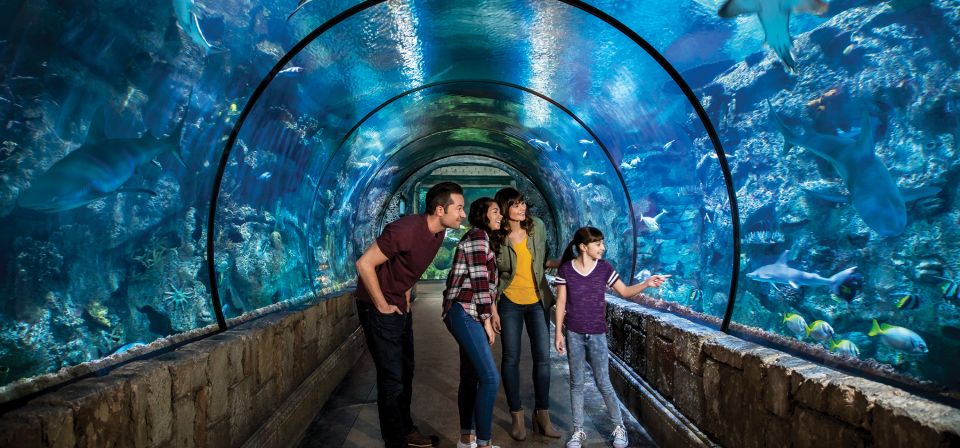 Las Vegas: Shark Reef Aquarium & VR Experience Entry Ticket - Key Points