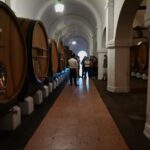 Lisbon: Private Tour Evora With Wine Tasting At The Cartuxa Alentejo Region And Winemaking