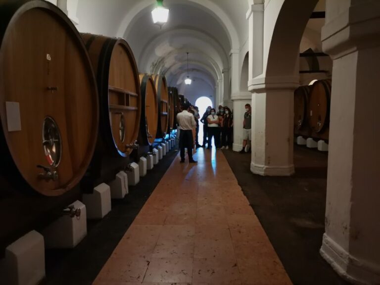 Lisbon: Private Tour Evora With Wine Tasting At The Cartuxa Alentejo Region And Winemaking