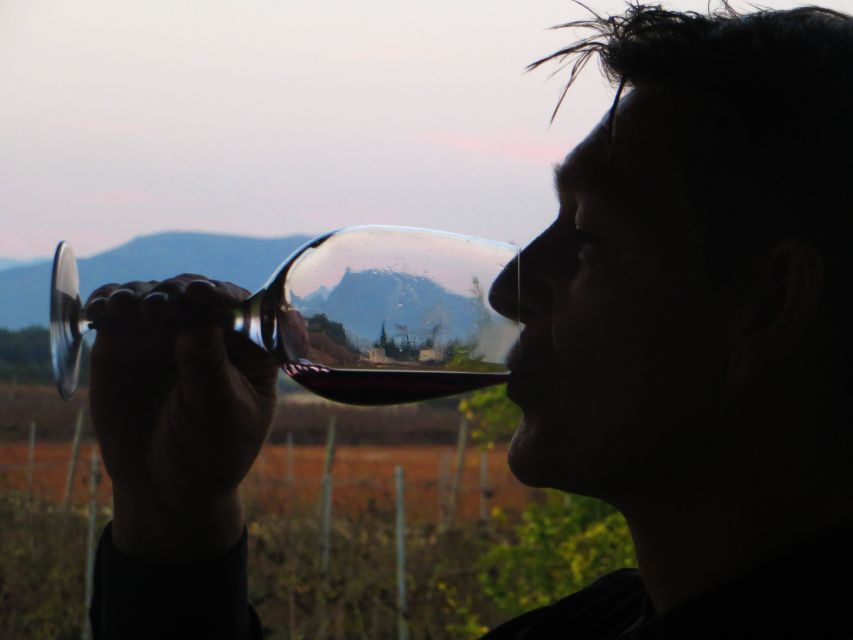 Mallorca: Wine Cellar Tour XL - 3 Wine Tastings Including GERMAN - Guided Winery Tours