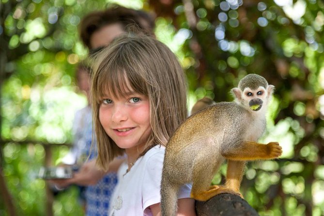 Monkeyland and Plantation Safari From La Romana - Exploring the Dominican Countryside