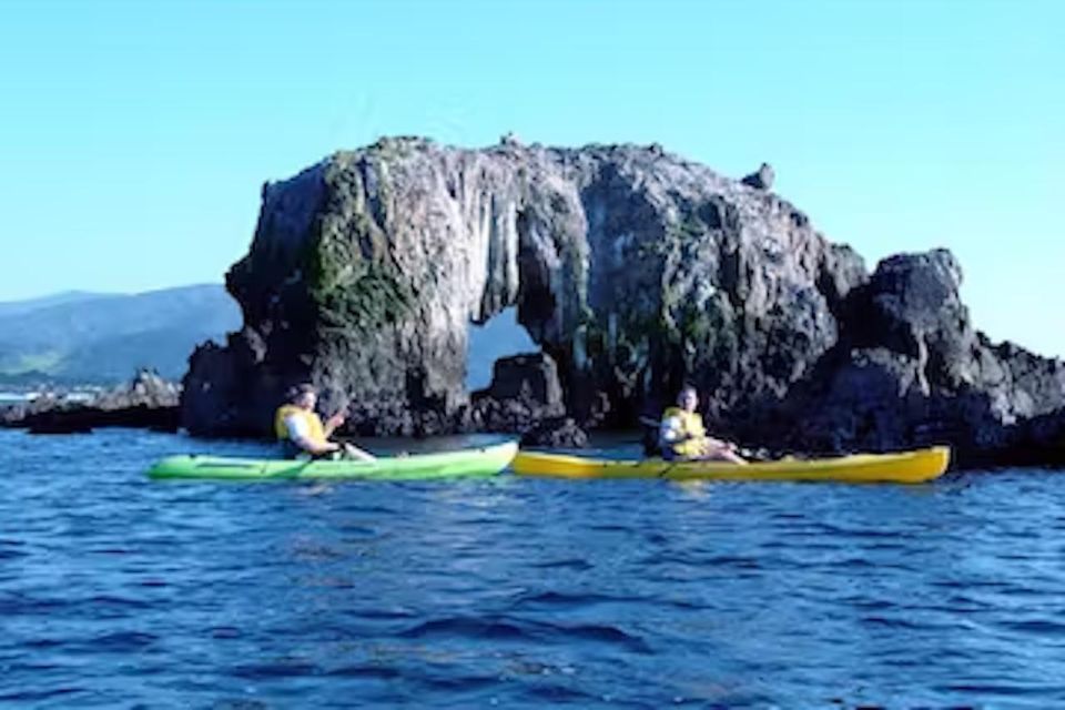 Monterey: Pebble Beach Kayak Tour - Key Points