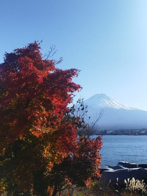 Mount Fuji Lake Kawaguchi Private Tour With Bilingual Driver Itinerary Highlights