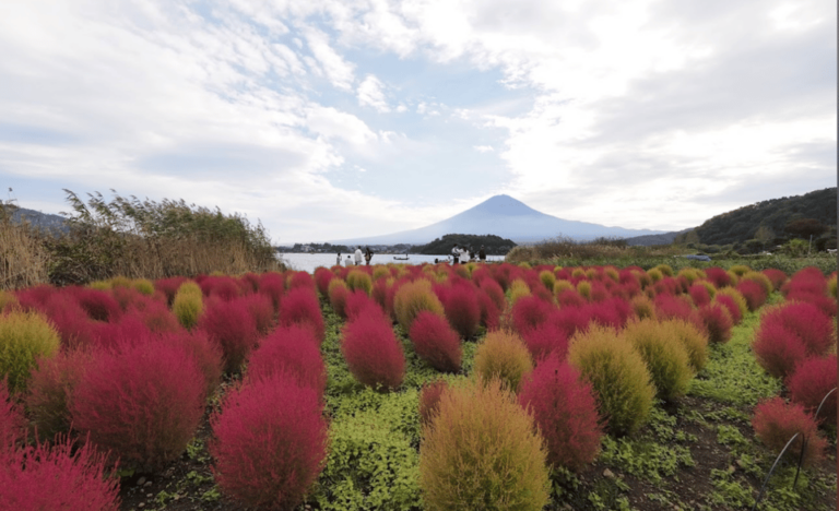 Mount Fuji Sightseeing Private Tour English Speaking Driver Tour Overview And Pricing