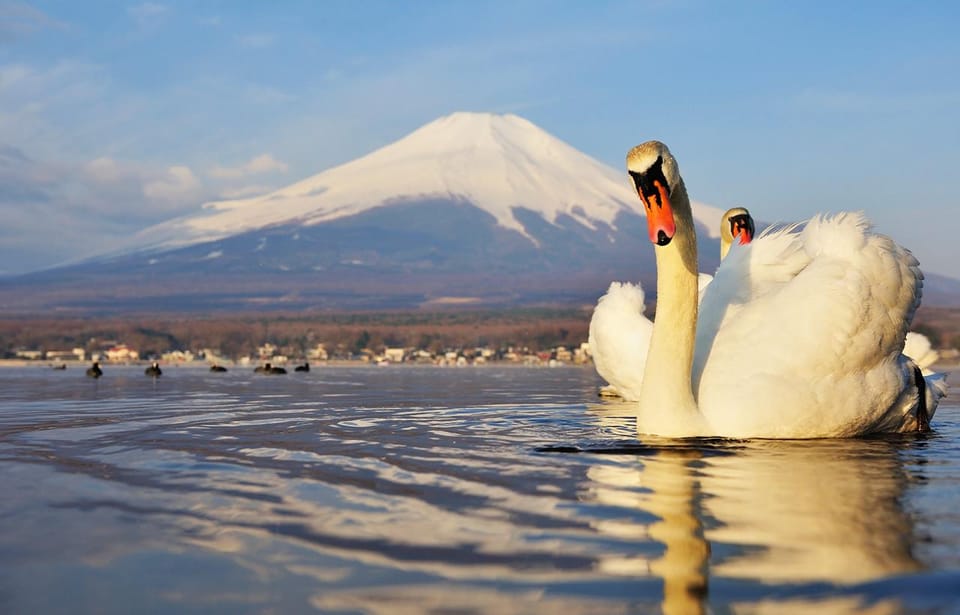 Mt.Fuji, Lake Kawaguchi &Yamanaka, Hot Spring Full-Day Tour - Key Points