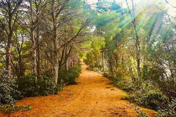 Naturalistic Excursion to Ustica - Key Points