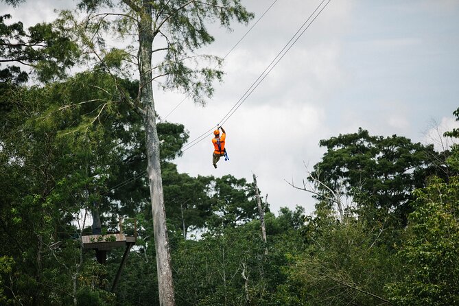 New Orleans Zipline Swamp Tour - Key Points