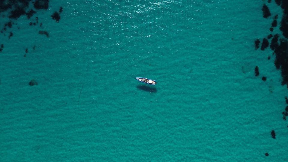 Nice: Lerins Islands Boat Tour With Snorkeling - Key Points