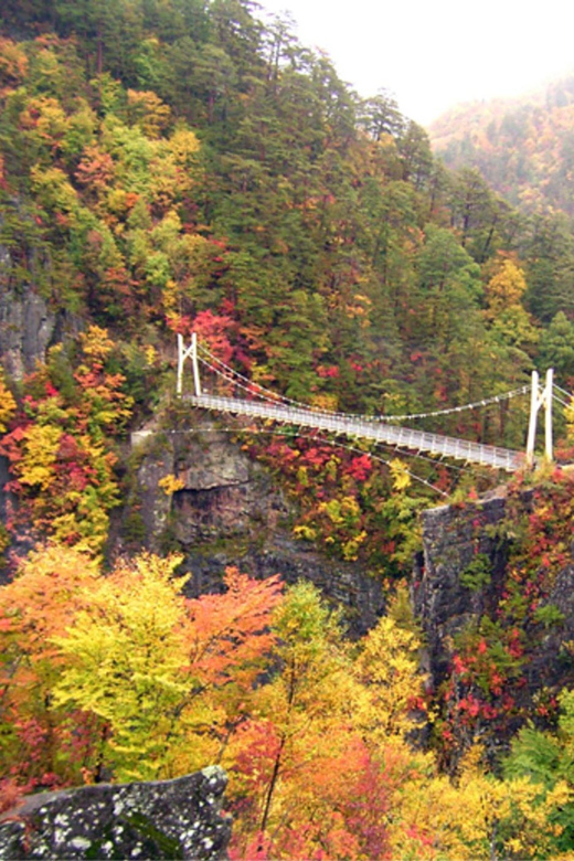 NIKKO Tour With an English Speaking Driver - Key Points