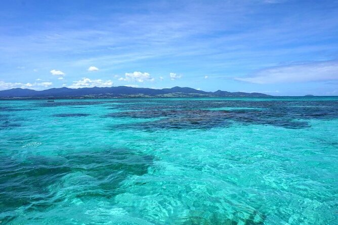 One-Day Boat Trip to the Lagoon of Guadeloupe - Overview of the Trip