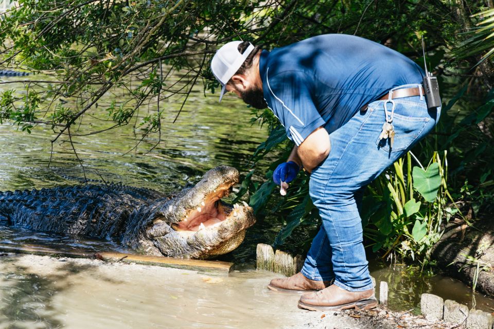 Orlando: Gatorland Skip-the-Line Ticket - Key Points