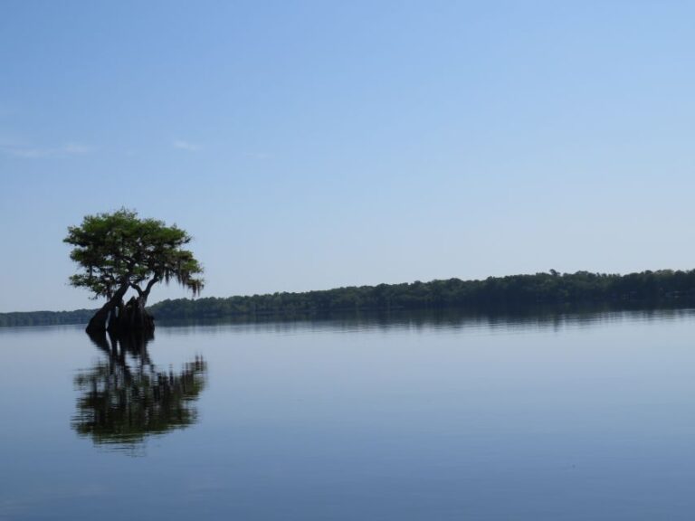 Orlandos Lake Norris: 5 Hour Kayak Explorer Tour With Lunch Key Points