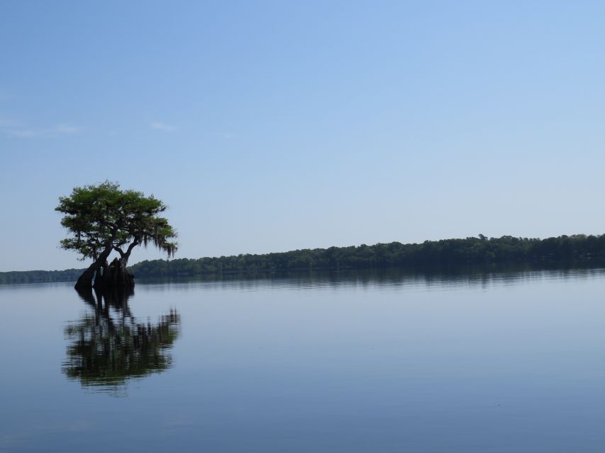 Orlandos Lake Norris: 5-Hour Kayak Explorer Tour With Lunch - Key Points