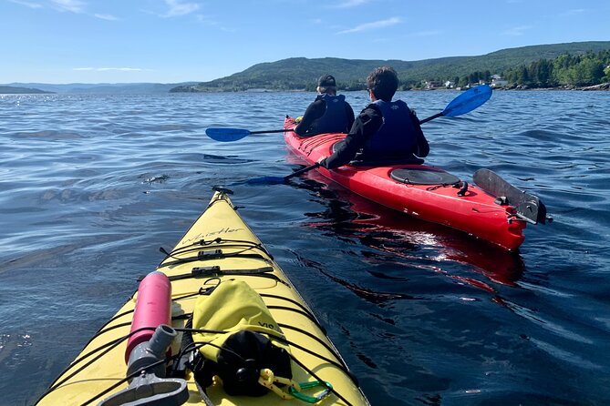 Paddle the Bay of Islands: 2 Hours Guided Kayak Experience - Key Points