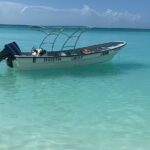 Private Boat Nature Tour Of Saona Island Tour Overview