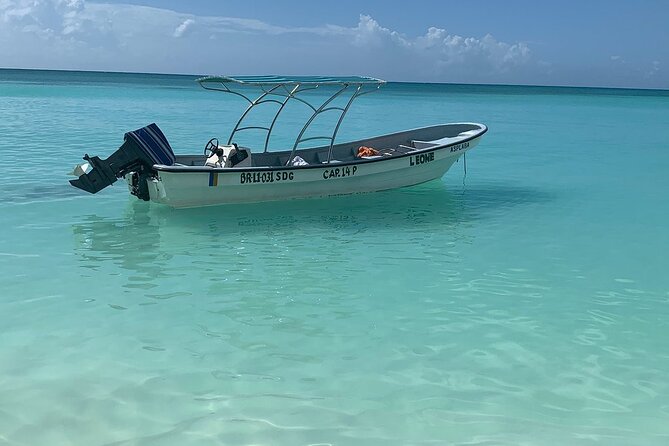 Private Boat Nature Tour of Saona Island - Tour Overview