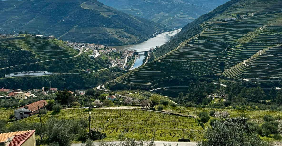 Private Douro Valley Full Day Tour - Key Points