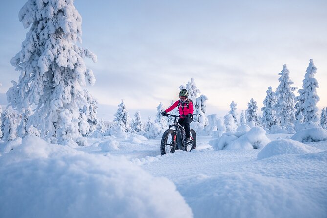 Private Electric Fat Bike Tour in Saariselkä - Key Points