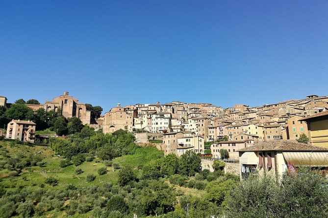 Private Guided Tour of Siena With a Licensed Local Tour Guide - Key Points