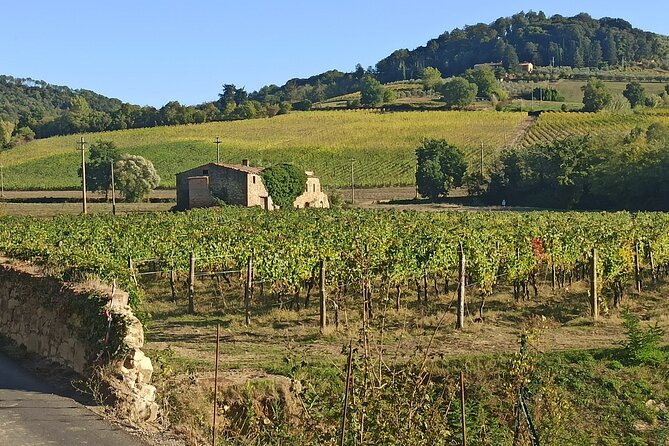 PRIVATE Tour: Chianti Afternoon TOUR With Visit to 2 Wine Farms - Key Points