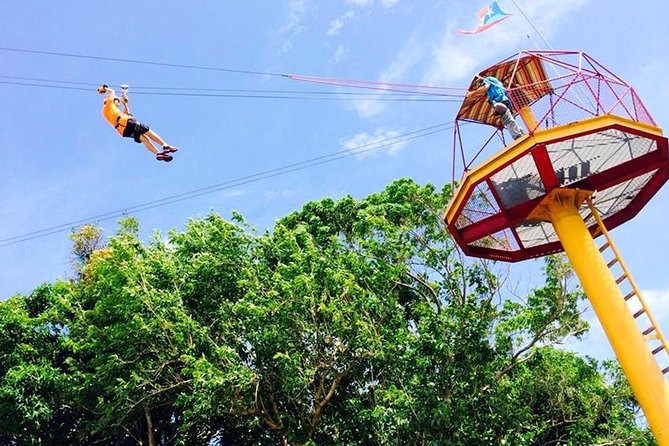 Rainforest Zipline in Foothills of the National Rainforest - Key Points