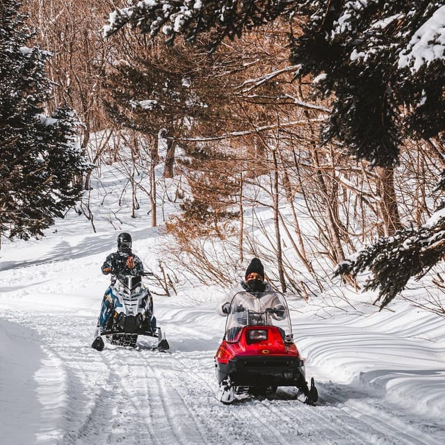 Retro Snowmobiles Experience Review - Key Points