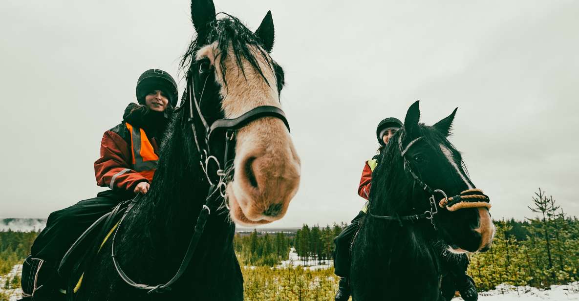 Rovaniemi: Arctic Horse Riding Experience - Key Points