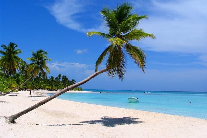 Saona Blue Paradise From Punta Cana - Included Activities and Amenities