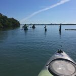 Sarasota Guided Mangrove Tunnel Kayak Tour Kayak Tour Details