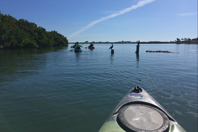 Sarasota Guided Mangrove Tunnel Kayak Tour - Kayak Tour Details