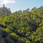 Sintra: Half Day Trekking Tour Key Points