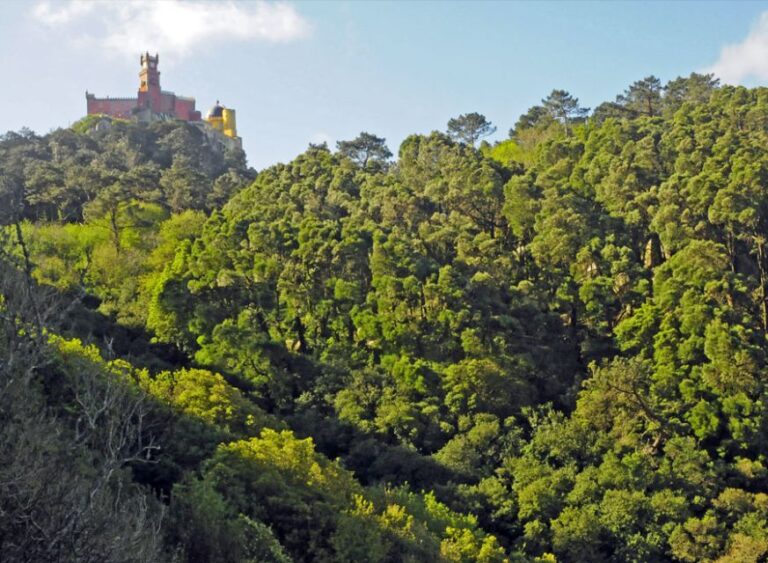 Sintra: Half Day Trekking Tour Key Points