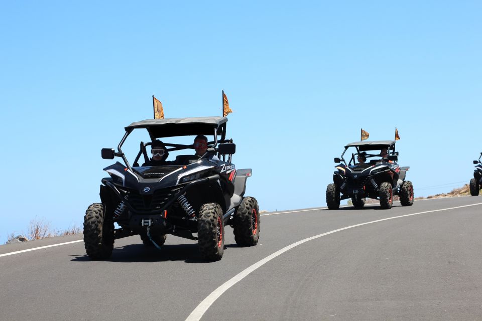 Tenerife: Teide National Park Guided Morning Buggy Tour - Key Points