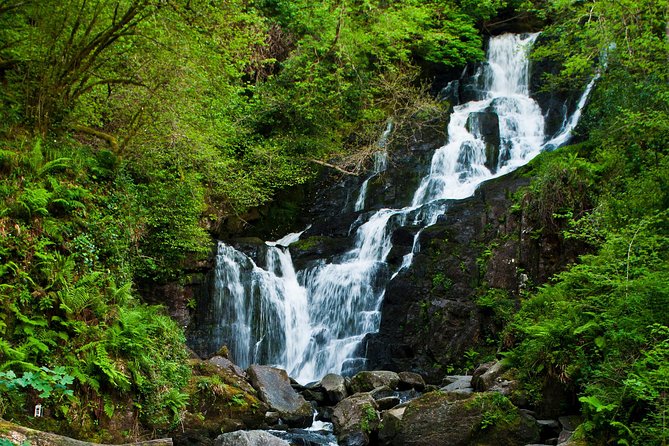 The Classic Ring of Kerry & Skellig Ring Tour - Included Amenities