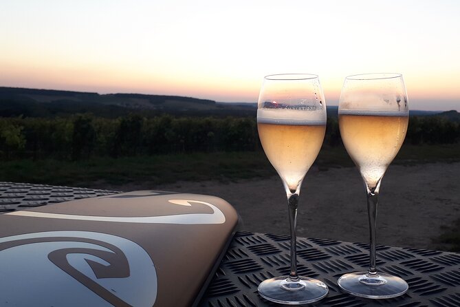 The Unmissable: Champagne Tasting at the Tops of the Vines - The Champagne Tasting Adventure