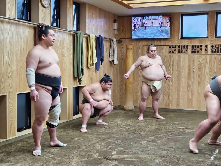 Tokyo Sumo Morning Practice Tour With Private Car Transfer - Key Points