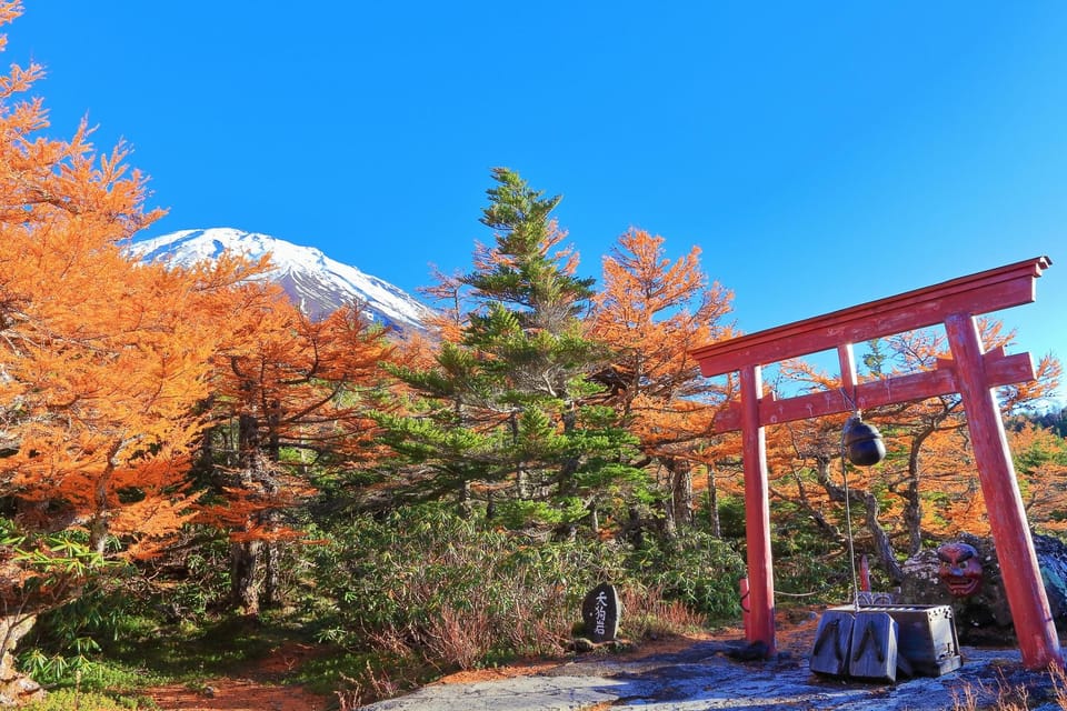 Tokyo via Mt. Fuji Bus Transfer Review - Key Points