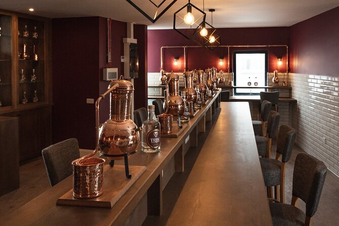 Tribe Gin School Experience in Galway - Key Points