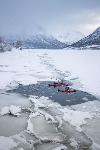 Tromsø: Arctic Ocean Floating Camp Rescue Suit Swimming - What to Expect