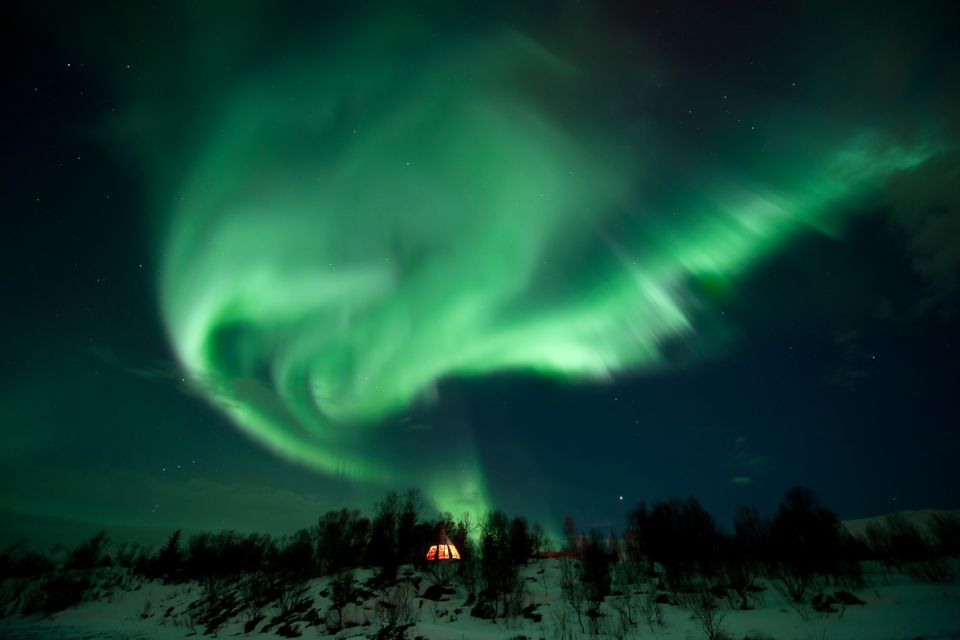 Tromsø: Northern Lights Husky Visit With Traditional Dinner - Key Points