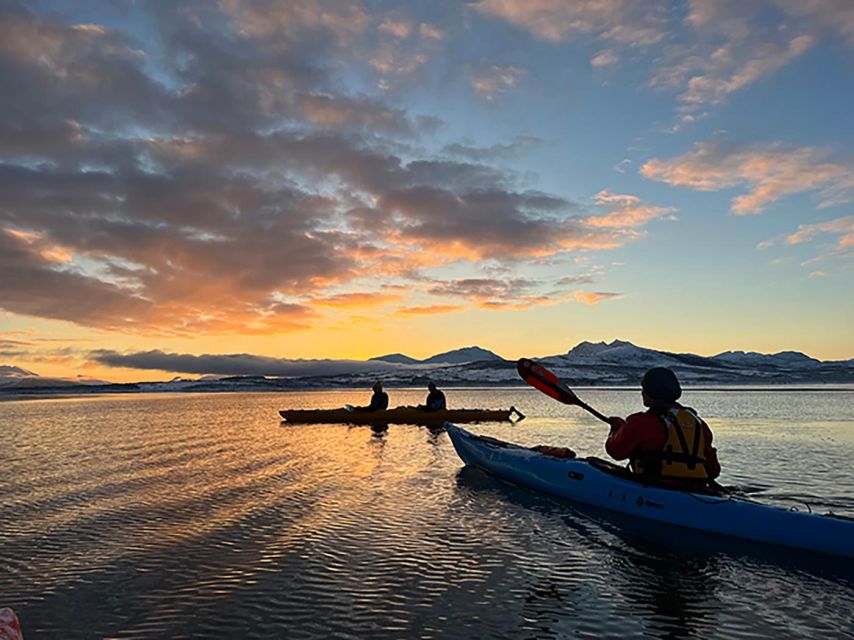 Tromsø: Winter Sea Kayaking Tour With Wildlife Sightings - Key Points