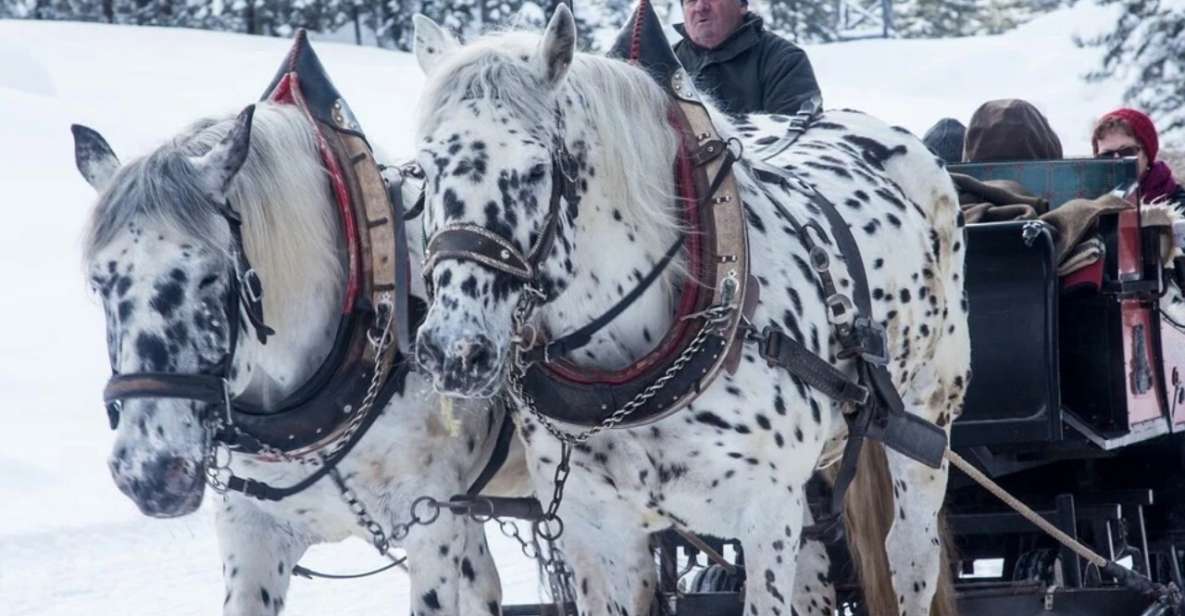 Zakopane: Sleigh Ride With Transfers and Lunch Option - Key Points