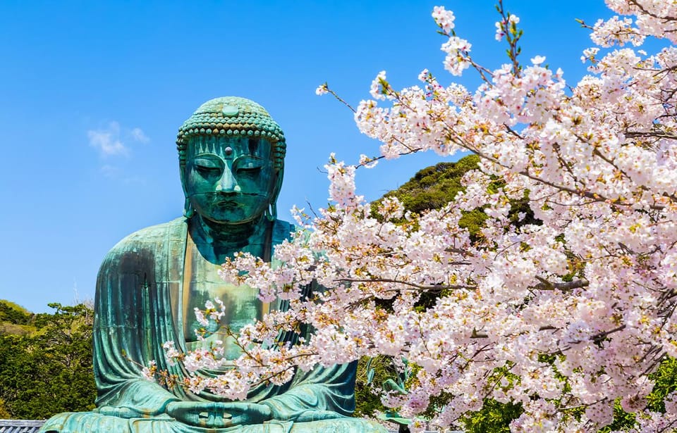 1-Day Tour of Kamakura Buddha, Enoshima, Shrine From Tokyo - Key Points