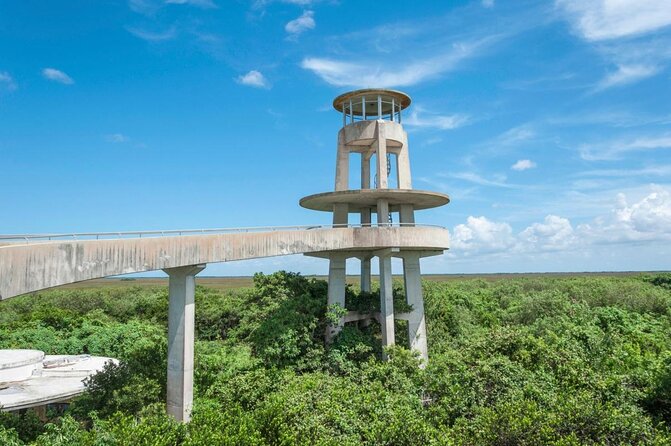 1-Hour Air Boat Ride and Nature Walk With Naturalist in Everglades National Park - Key Points