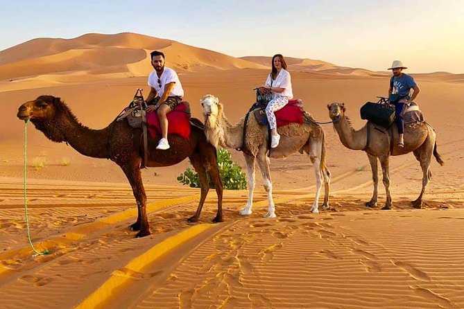 1 Night All Inclusive Camel Ride & Desert Camp - Inclusions