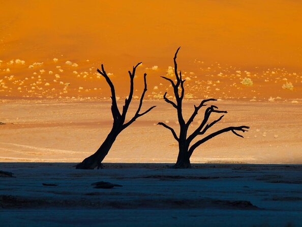 11 Day Namibia Experience Fully Accommodated Tour - Key Points