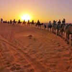 1 Night All Inclusive Camel Ride & Desert Camp Pickup Information