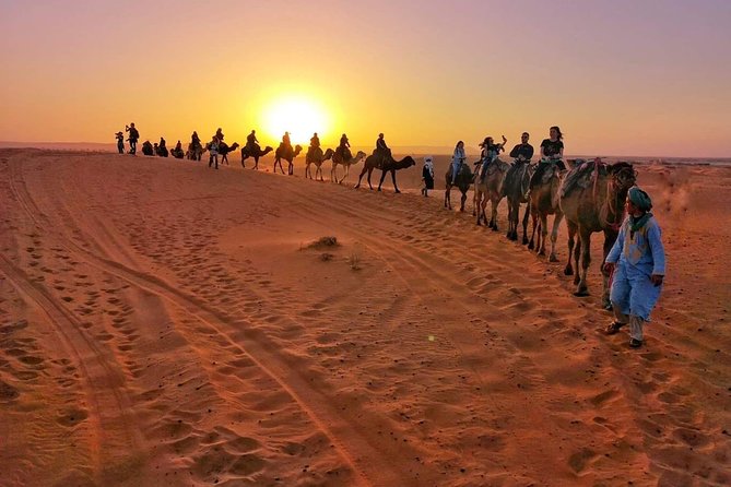 1 Night All Inclusive Camel Ride & Desert Camp - Pickup Information